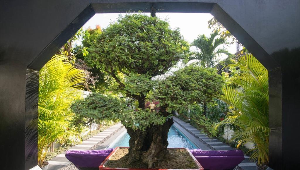 Bonsai Villas Seminyak Oda fotoğraf