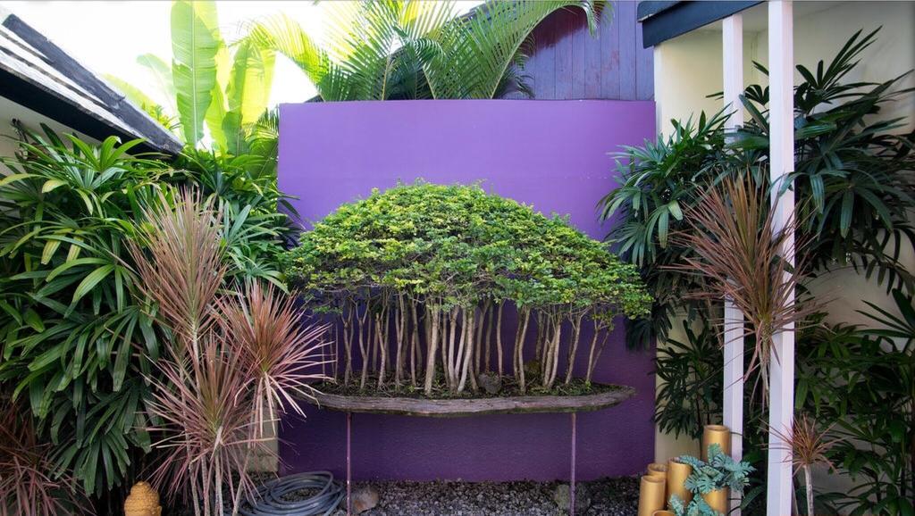 Bonsai Villas Seminyak Oda fotoğraf